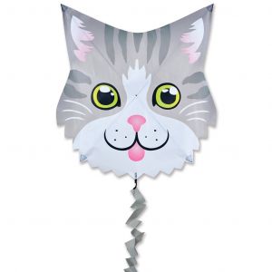 Gray Cat
