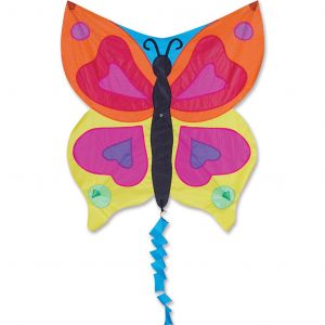 Rainbow Butterfly Fun flyer