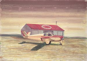 V-Tail Bonanza