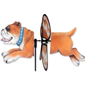 English Bulldog