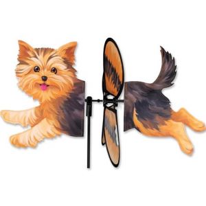 Yorkie