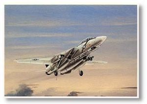 F-14 Tomcat Holiday