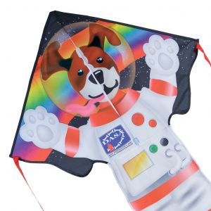 Dog Side of the Moon - Large Easy Flyer