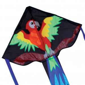 Happy Parrot