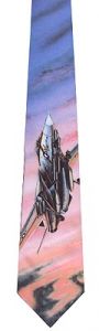 F-14 Tomcat