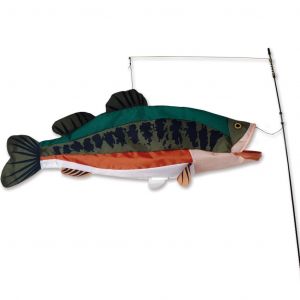 Large Mouth Bass