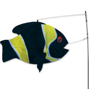 Damsel Fish