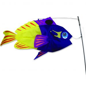 Fairy Basslet