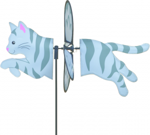 Gray Tabby