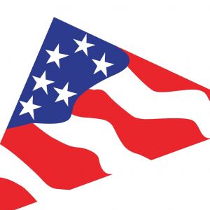 Patriotic - 11ft Delta Kite