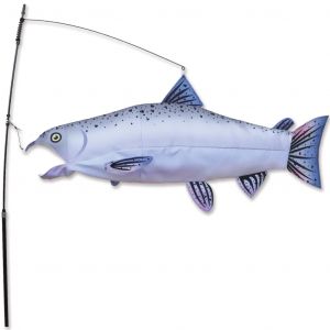 Salmon