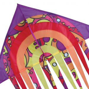 Warm Orbit 56in Streamer Delta Kite