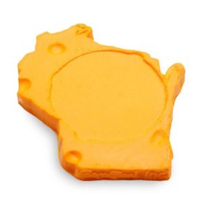 Wisconsin Coaster (set of 4)