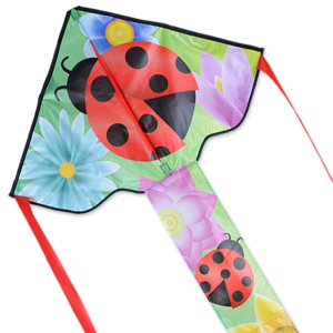  Ladybug