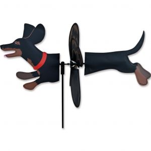 Black Dachshund