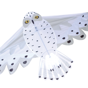 Snowy Owl Kite